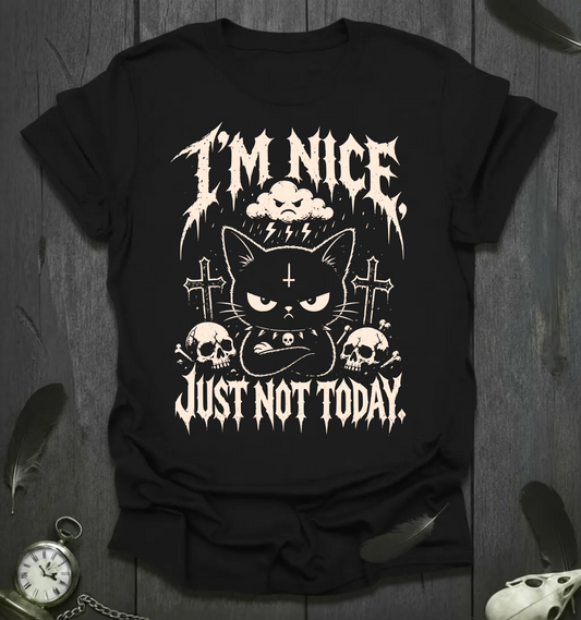 I’m Nice Just Not Today T-Shirt
